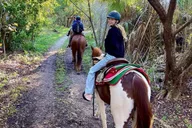 Miami Beach Horse Ride and Nature Trail thumbnail 3