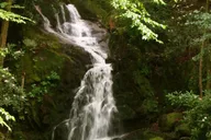 Great Smoky Mountains Clear Creek Falls Hike thumbnail 4