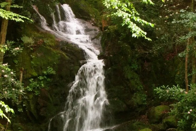 Great Smoky Mountains Clear Creek Falls Hike - Image 4
