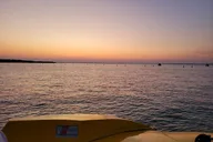 Destin Dolphin and Sunset Tour on Hydro Rocket 1 hr thumbnail 4