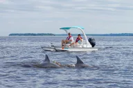 Naples Go Cat Boat Tour thumbnail 3