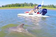 Hilton Head Creek Cat Tour thumbnail 6
