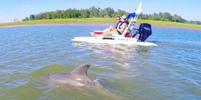 Hilton Head Creek Cat Tour - Image 6