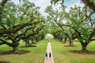 New Orleans Oak Alley Plantation and Swamp Tour thumbnail 2