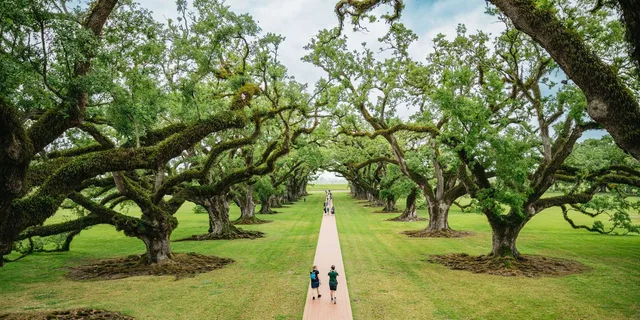 New Orleans Oak Alley Plantation and Swamp Tour - Image 2