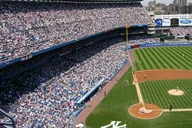 New York City Walking Tour and Yankees Game thumbnail 1