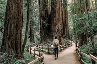 San Francisco Muir Woods and Sausalito Tour thumbnail 2