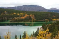 Skagway Yukon Suspension Bridge Tour 3.5 hr thumbnail 1