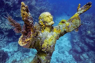 Key Largo Coral Reef Snorkel Trip