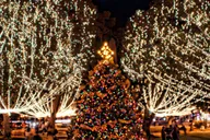 St. Augustine Nights of Lights Celebration thumbnail 3