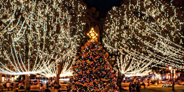 St. Augustine Nights of Lights Celebration - Image 3