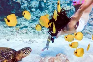 Maui Snorkeling Adventure to Molokini and Turtle Town thumbnail 3