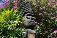 Honolulu Heritage Walk Through History 2 hr thumbnail 5