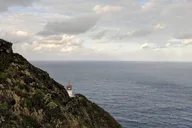 Honolulu Island Tour thumbnail 4