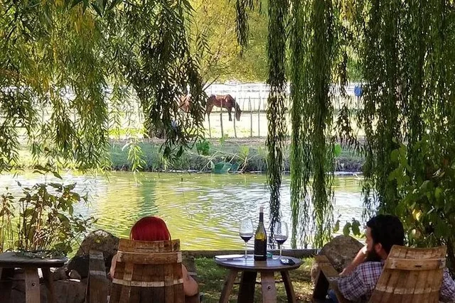 Arizona Horse Country Vineyard Wine Tour - Image 2