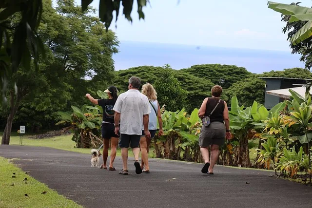 Kona Coffee Farm Tour - Image 5