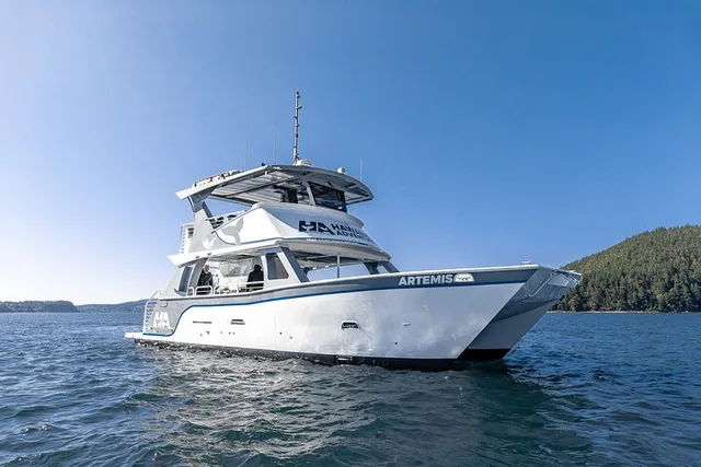 Kona Dolphin and Whale Watching Tour - Image 3