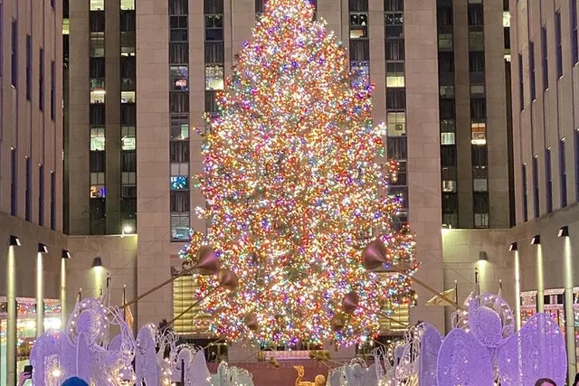 New York City Rockefeller Center Christmas Lights Carriage Ride - Image 3