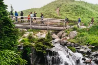 Seattle Mount Rainier National Park Tour thumbnail 1