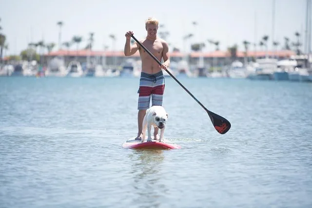Fort Lauderdale Paddle Board Rental 1.5 Hr - Image 1