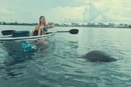 Sarasota Clear Kayak Mangrove Tunnel Tour thumbnail 3