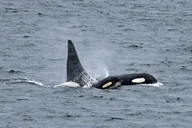 Ketchikan Private Custom Excursion thumbnail 5