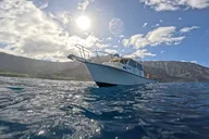 Kaua'i Scuba Diving Tour from a Boat thumbnail 4