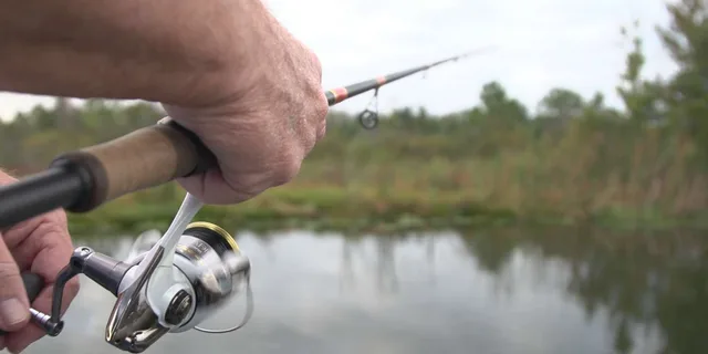Clermont Bass Fishing Experience with Expert Guide 4 hr - Image 6