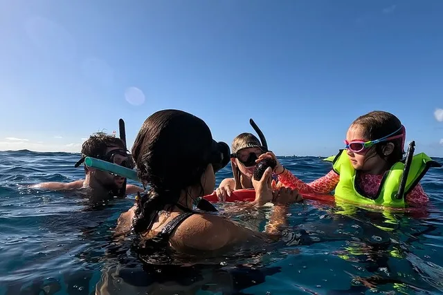 Waikiki Turtle Snorkel Tour - Image 5
