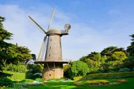 San Francisco Golden Gate Park Tour thumbnail 3