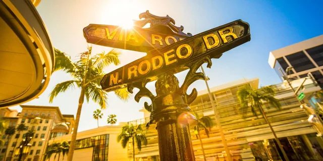 Los Angeles Private Tour: Hollywood, Beverly Hills, Venice - 5 hr - Image 6