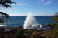 Kauai Waimea Canyon Adventure Tour with Lunch thumbnail 2