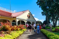 Oahu Circle Island Tour Small Group 9.5 hr thumbnail 6