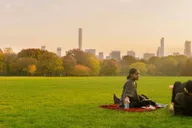 New York Central Park Rickshaw Tour thumbnail 3
