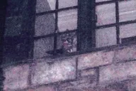 Gatlinburg Ghost and Haunt Tour thumbnail 6