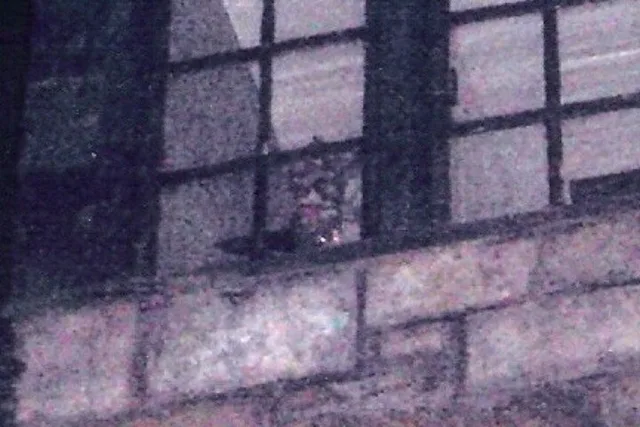 Gatlinburg Ghost and Haunt Tour - Image 6