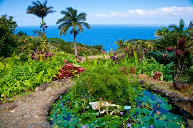 Maui Road To Hana Reverse Audio Tour - Image 6