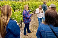 Santa Barbara Small-Group Wine Tour to Private Estates thumbnail 5