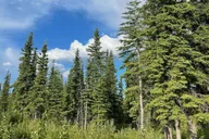Anchorage Glacial Lake and Waterfall Tour thumbnail 3