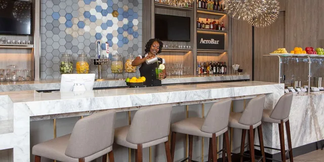 Dallas Fort Worth Airport Lounge Access - Image 3