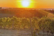 Traverse City Wine Tour at Sunset 4 hr thumbnail 5