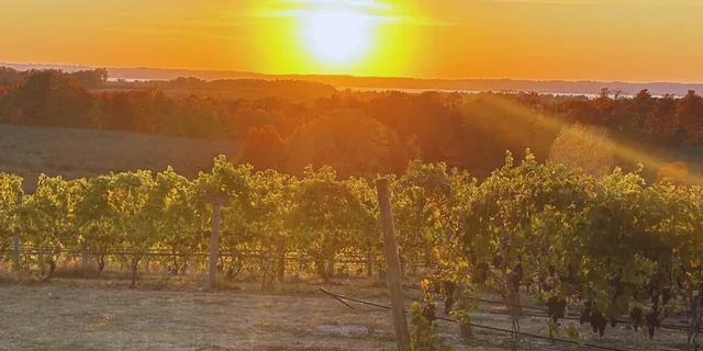 Traverse City Wine Tour at Sunset 4 hr - Image 5