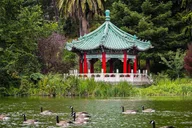 San Francisco Self-Guided Adventure thumbnail 6