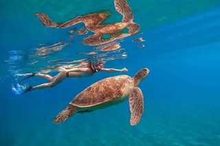 Honolulu Snorkeling Adventure