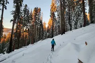 Sequoia National Park Snowshoe Adventure thumbnail 1