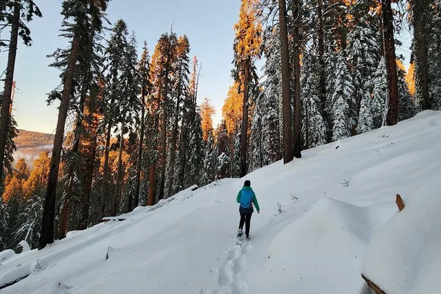 Sequoia National Park Snowshoe Adventure - Image 1