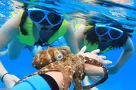 Ko Olina Catamaran Sail and Snorkel with Lunch thumbnail 5