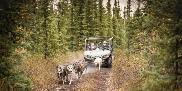 Fairbanks Dog Mushing Fall Adventure - Image 5