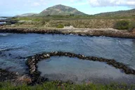 Oahu Culture Tour with a Local Guide thumbnail 5