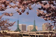 Portland City Tour Afternoon thumbnail 1